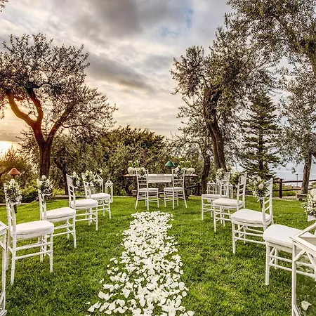 Sogno By My Collection